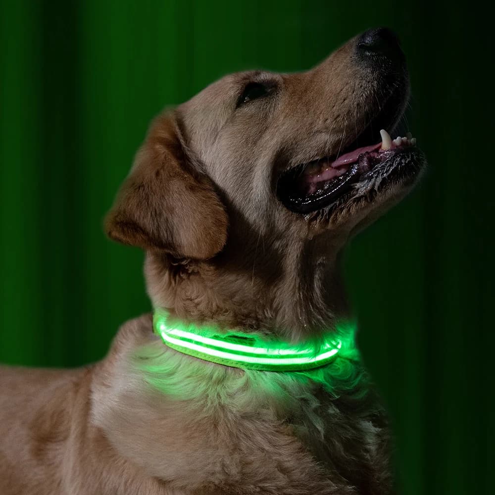 LED Halsband Oplaadbaar Groen 50-60cm DC5 Hilox