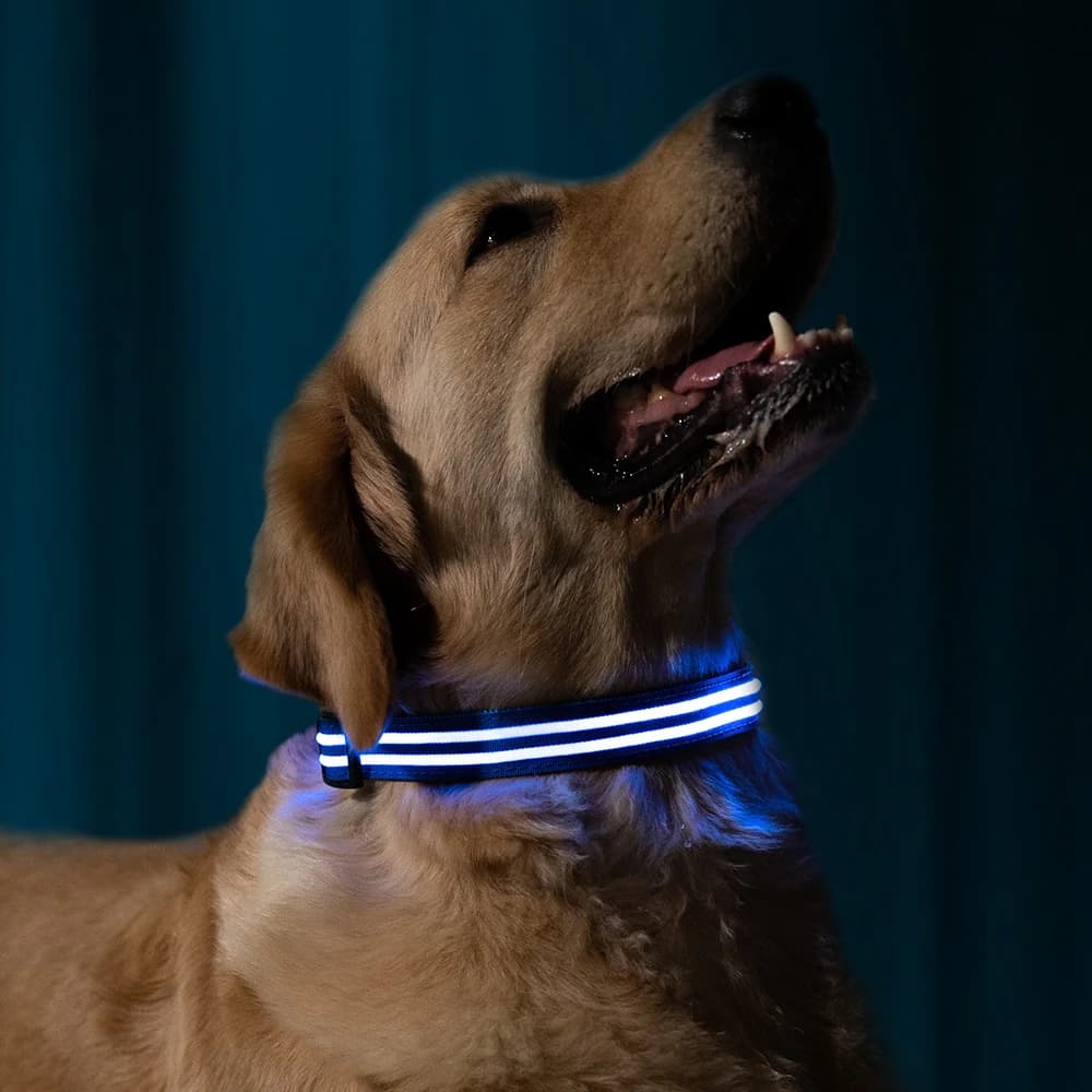 LED Halsband Oplaadbaar Blauw 40-50cm DC5 Hilox
